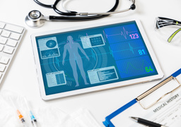 גוף האדם בהנדסה רפואית